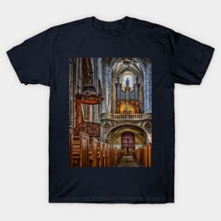 Cathedral T-Shirt